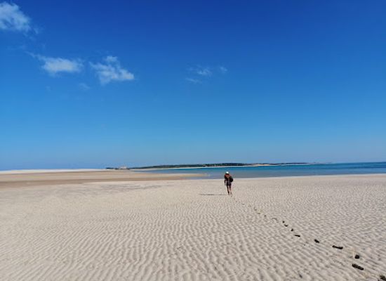 mozambique/bazaruto-archipelago/attraction/sunset-dhow-safari