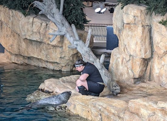 connecticut/long-island-sound/attraction/the-maritime-aquarium-at-norwalk