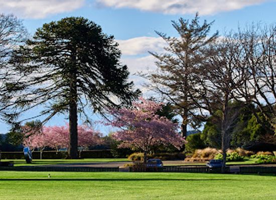 new-zealand/invercargill/attraction/anderson-park
