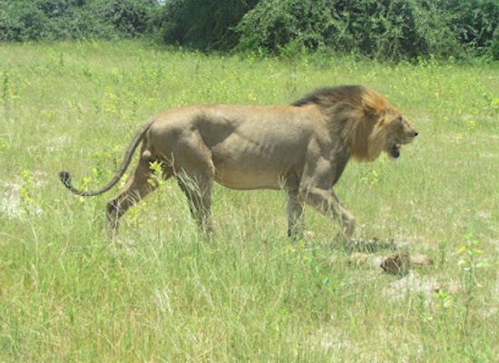 botswana/chobe-district/attraction/stretch-point