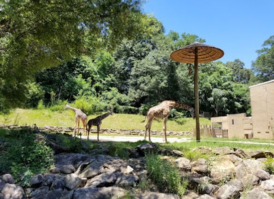 south-carolina/caesars-head-state-park/attraction/greenville-zoo