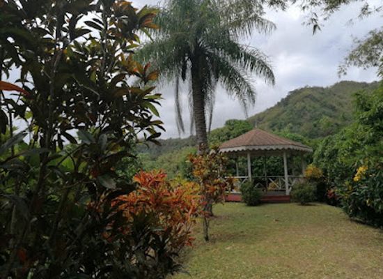 trinidad-and-tobago/tobago/attraction/tobago-cocoa-estate