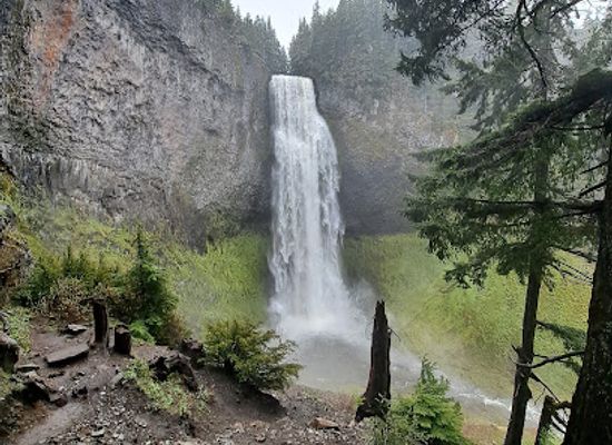 oregon/smith-rock-state-park/attraction/willamette-national-forest