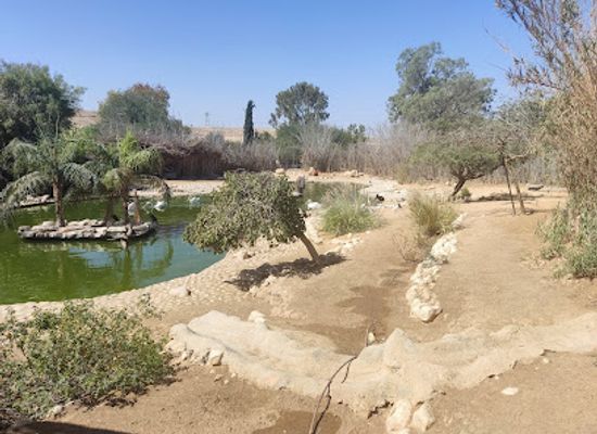 israel/negev-desert/attraction/negev-zoo