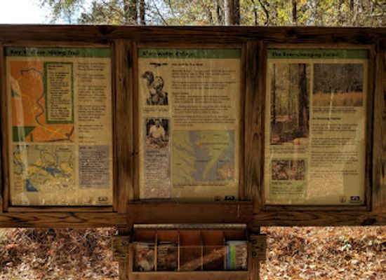 maryland/blackwater-national-wildlife-refuge/attraction/key-wallace-hiking-trail-blackwater-national-wildlife-refuge