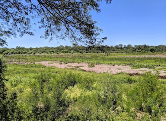 paraguay/upper-chaco/attraction/parque-nacional-chaco