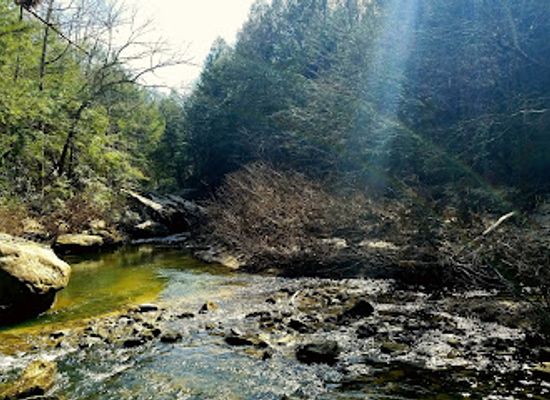 alabama/sipsey-wilderness/attraction/eye-of-the-needle-ship-rock