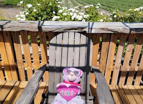 california/northern-california/attraction/hemly-cider