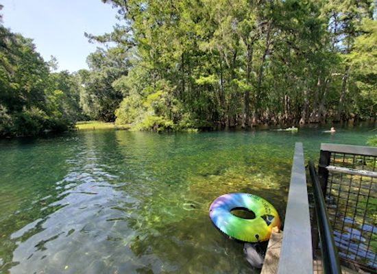 florida/santa-fe-river/attraction/manatee-springs-state-park