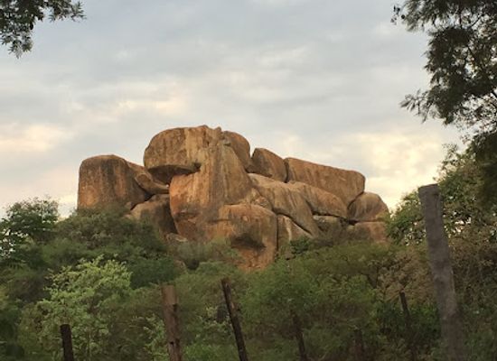 zimbabwe/zambezi-valley/attraction/wild-is-life-zen