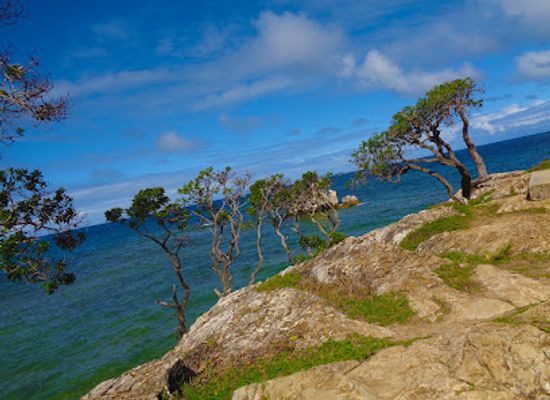 new-caledonia/canala/attraction/rocher-a-la-voile