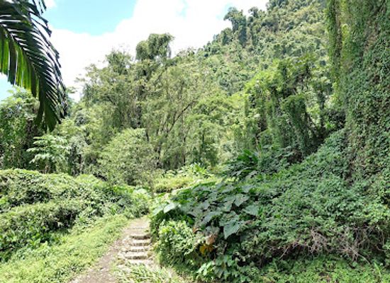saint-vincent-and-the-grenadines/chateaubelair/attraction/entrance-to-waterfalls