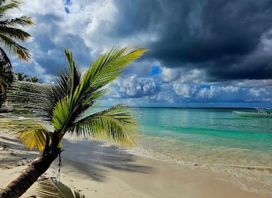 puerto-rico/mona-passage/attraction/saona-island