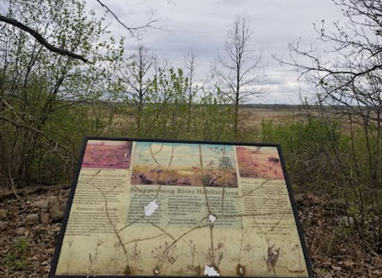 wisconsin/kettle-moraine/attraction/kettle-moraine-low-prairie-state-natural-area