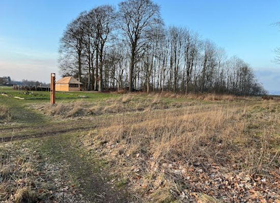 denmark/horsens/attraction/tyrstedlund-naturpark
