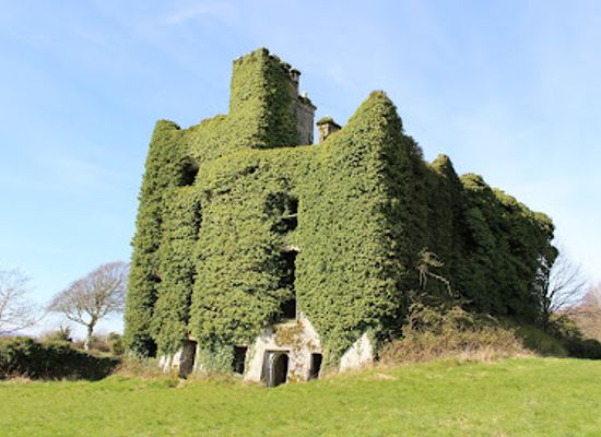 ireland/county-galway/attraction/galway-atlantaquaria