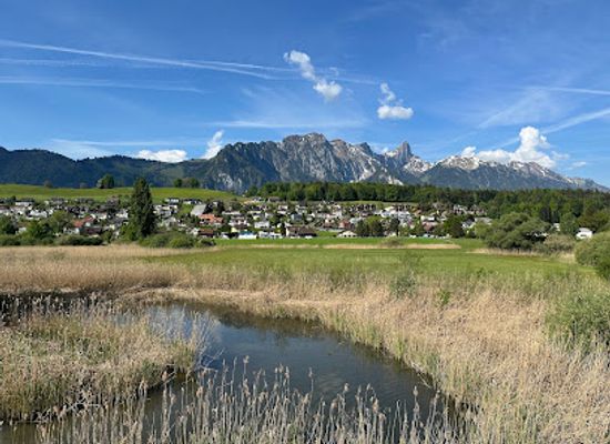 switzerland/thun/attraction/beobachtungsturm-gwattlischenmoos
