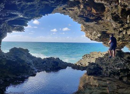 barbados/bathsheba/attraction/animal-flower-cave-restaurant