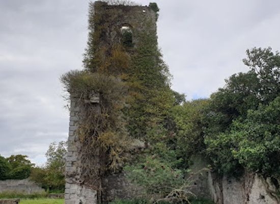 ireland/county-meath/attraction/dangan-castle