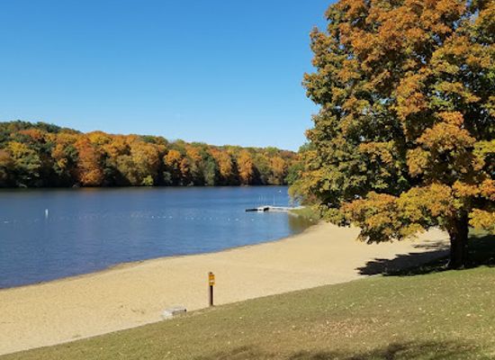 iowa/driftless-area/attraction/backbone-state-park-beach