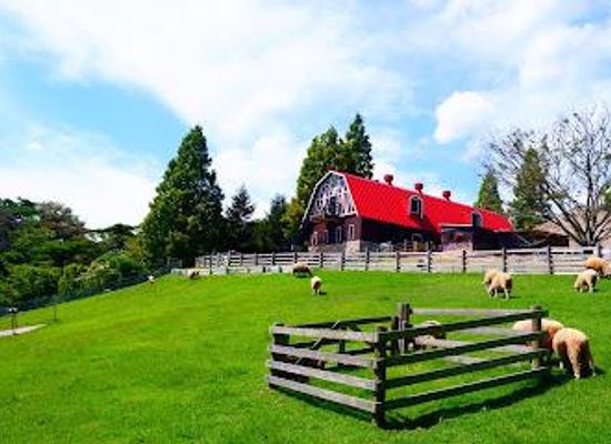 japan/osaka/attraction/rokkosan-pasture-ranch