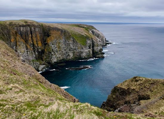 canada/avalon-peninsula/attraction/cape-st-mary-s-ecological-reserve