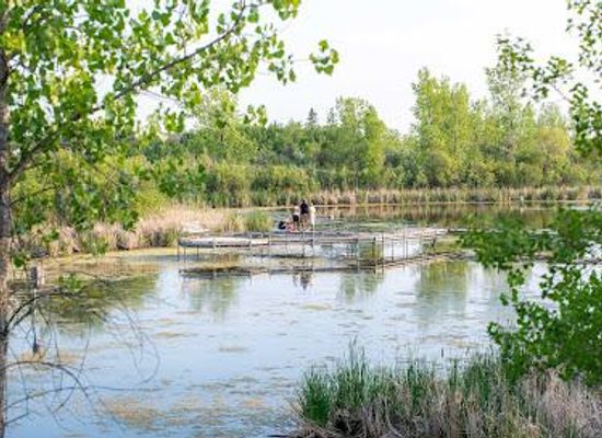 canada/winnipeg/attraction/fortwhyte-alive