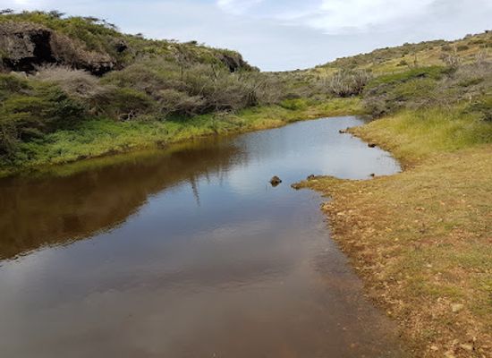 aruba/arikok-national-park/attraction/dam-di-barbacua