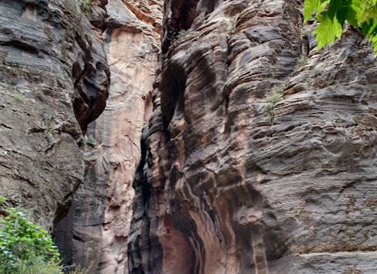 utah/zion-national-park/attraction/orderville-gulch