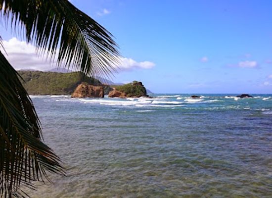 dominica/saint-david/attraction/calibishie-tourist-center