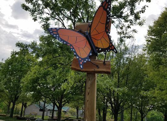 illinois/prairie-state/attraction/anita-purves-nature-center