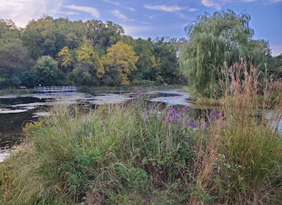 minnesota/driftless-area/attraction/quarry-hill-park