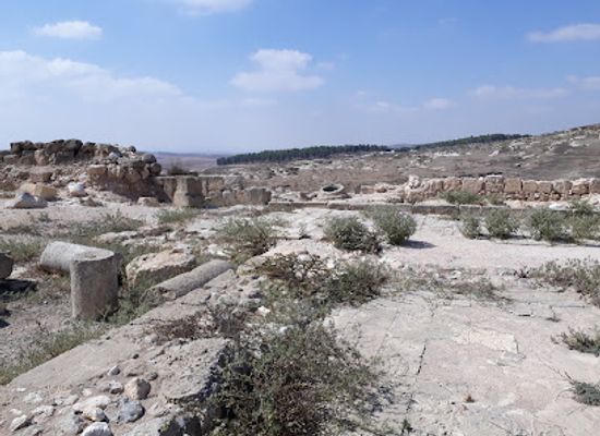 israel/negev/attraction/farm-shwadron