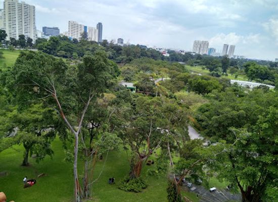 singapore/bukit-batok/attraction/chinese-garden