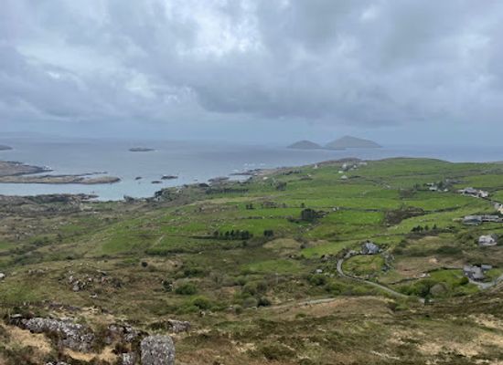 ireland/county-cork/attraction/the-butter-museum