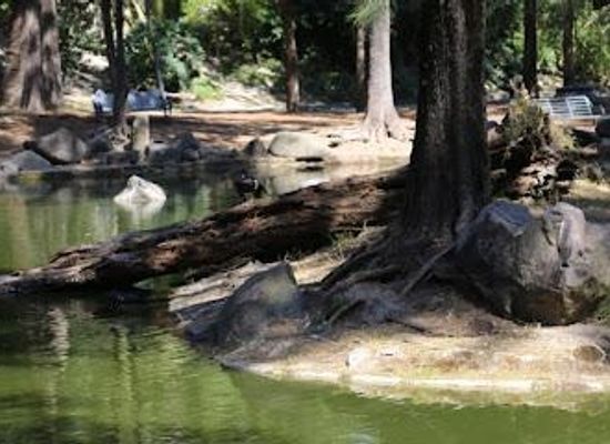 mexico/guadalajara/attraction/bosque-los-colomos