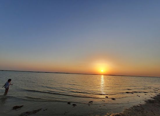 qatar/zekreet-beach/attraction/unesco-al-reem-biosphere-reserve