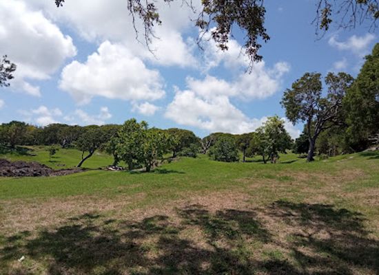 barbados/saint-philip/attraction/three-houses-park