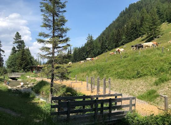 switzerland/nendaz/attraction/defis-de-la-riviere