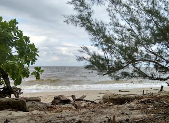 indonesia/tanjung-puting-national-park/attraction/tanjung-keluang