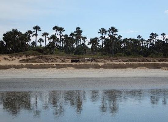 the-gambia/banjul/attraction/bijilo-national-park