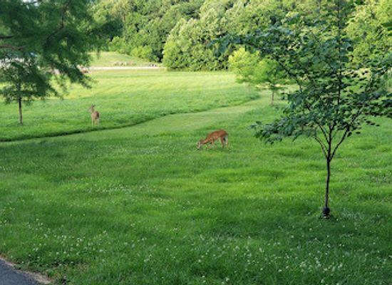 missouri/cape-girardeau/attraction/cape-woods-conservation-area