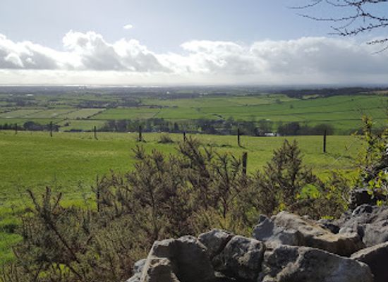 ireland/county-galway/attraction/knockma-wood