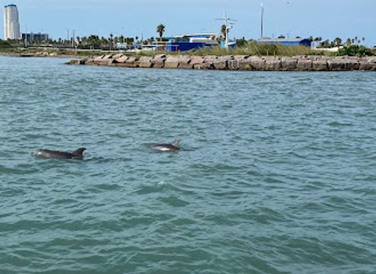 texas/rio-grande-valley/attraction/breakaway-cruises