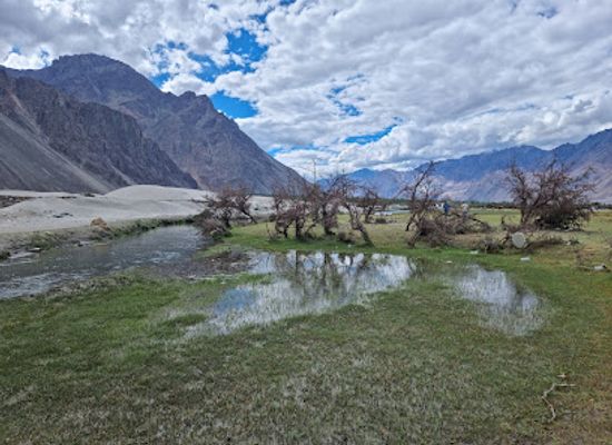 india/ladakh/attraction/nubra-valley-sand-dunes