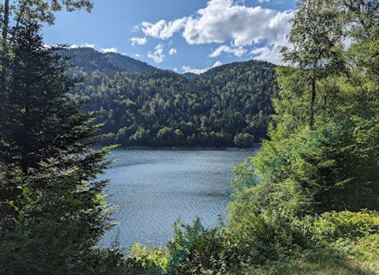 france/vosges-mountains/attraction/tour-du-lac-de-kruth-wildenstein