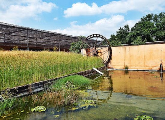 france/toulouse/attraction/les-jardins-du-museum
