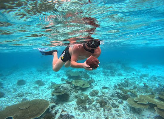 maldives/guraidhoo-island/attraction/house-reef-for-snorkeling