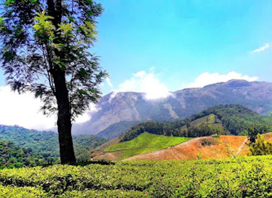 india/munnar/attraction/mount-carmel-basilica-munnar
