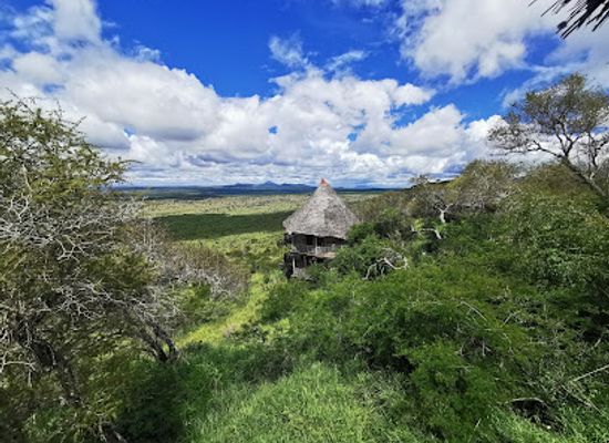 kenya/taita-hills/attraction/lumo-community-wildlife-conservancy